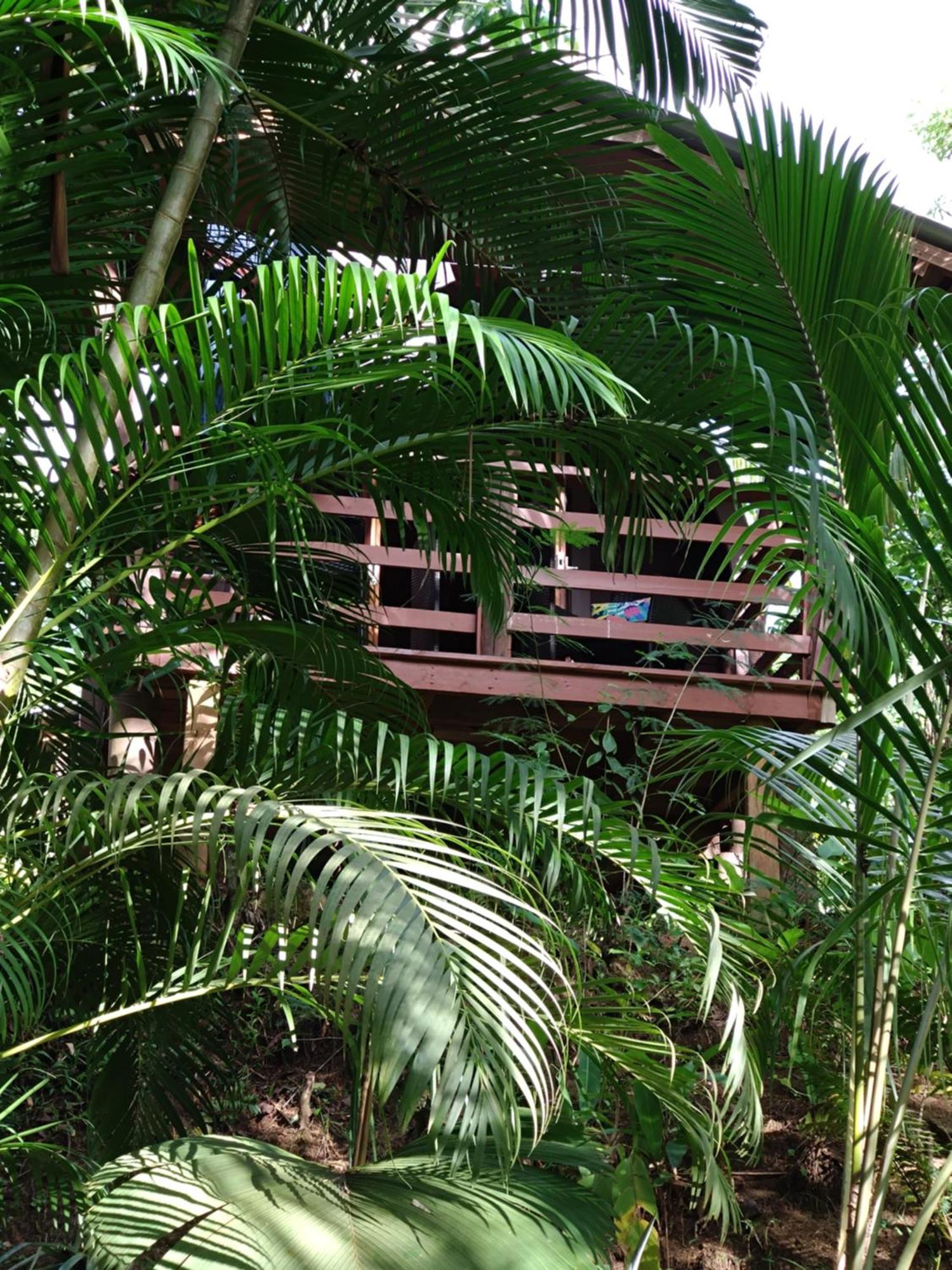 A Peace In Paradise Anse Royale Exterior photo